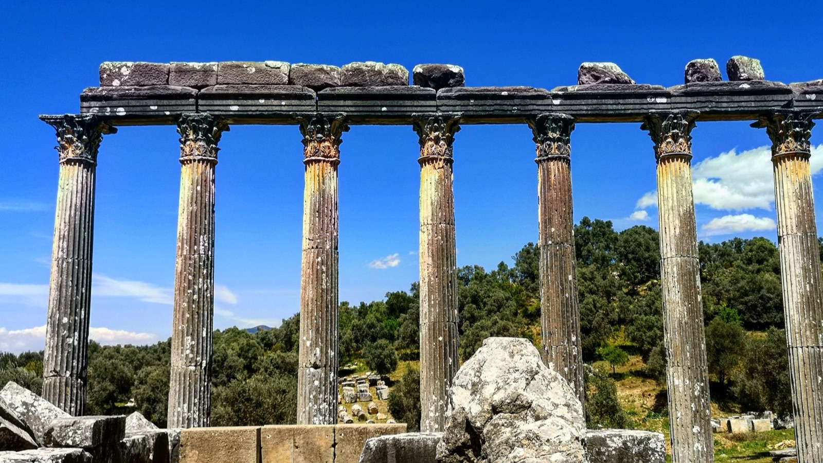 Euromos — Zeus Lepsynos Tapınağı