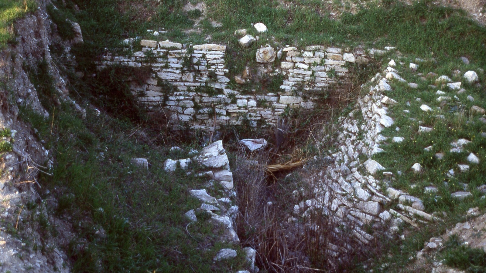 Klazomenai — Zeytinyağı işliği