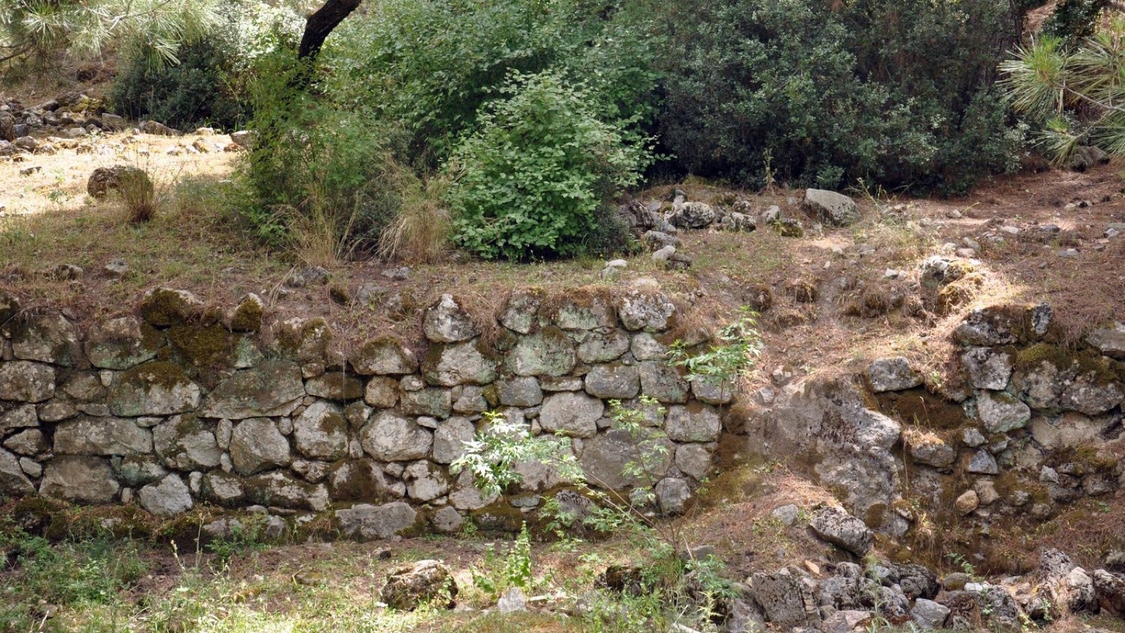 Kolophon — Akropolis