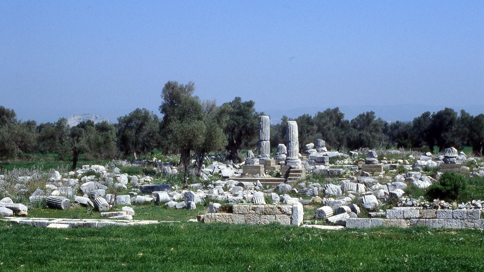 Teos — Dionysos Tapınağı